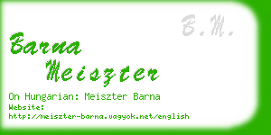 barna meiszter business card